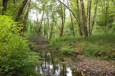 Tyron Creek State Park