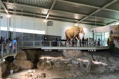 Waco Mammoth National Monument