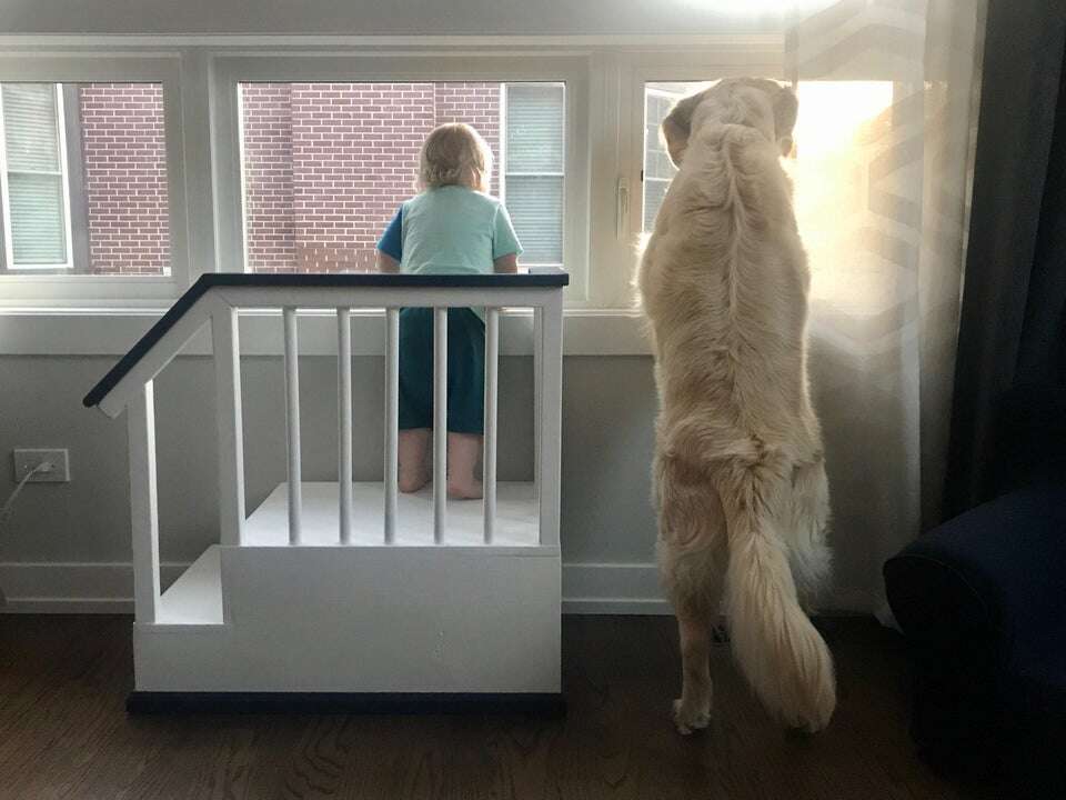 Kid looks out the window with his dog