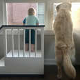 Dad Builds A Fort So His Son Can Look Out The Window With His Best Friend