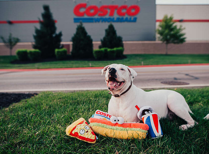 Costco 2025 bark collar