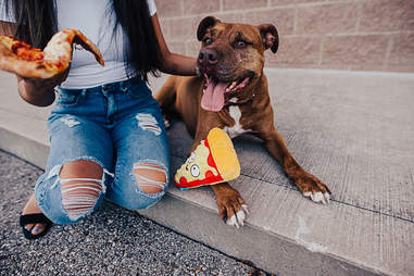 Costco Bark Are Partnering Up On Food Court Inspired Dog Toys Thrillist