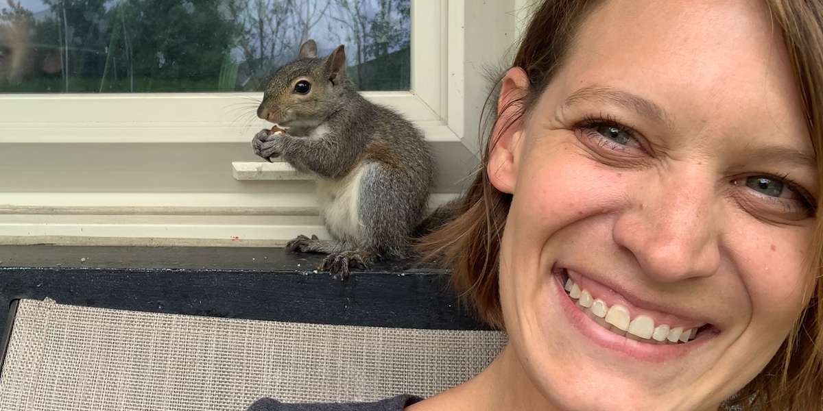 This Squirrel Keeps Coming Back To Visit His Rescuer Videos The Dodo
