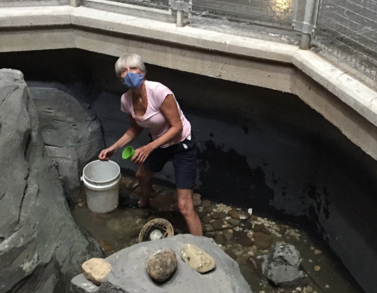 NC Aquarium at Pine Knoll Shores Collected Over 100 Gallons of Coins