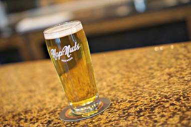 Hop Nuts Brewing