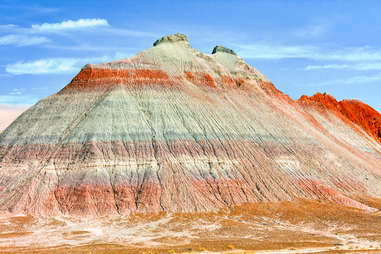 Petrified Forest National Park