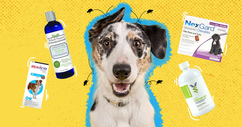 Best flea & tick for clearance dogs