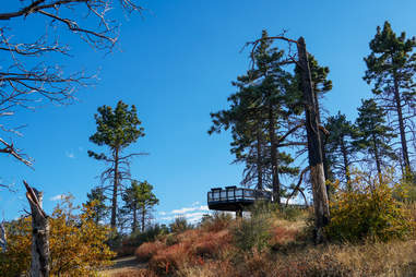 Best Camping In San Diego Camping Trip Ideas Good Parks To Visit Thrillist Best Camping In San Diego Camping Trip Ideas Good Parks To Visit Thrillist