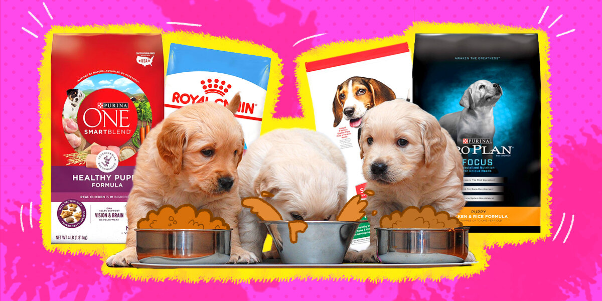 Best puppy food with dha best sale