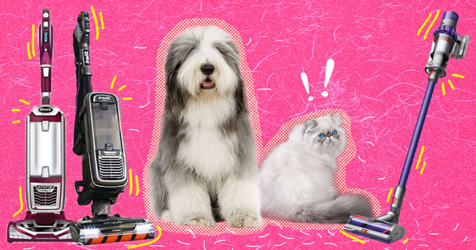 The 5 Best Vacuums For Pet Hair DodoWell The Dodo