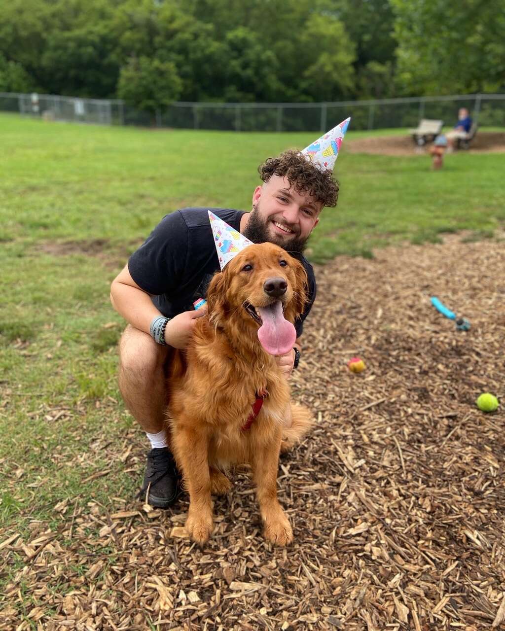 Bruce the golden retriever celebrates his birthday 