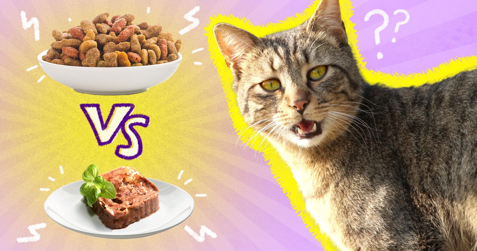 Change cat. Wet cat vs. dry cat. dry cat food one piece. kitty is not a cat.
