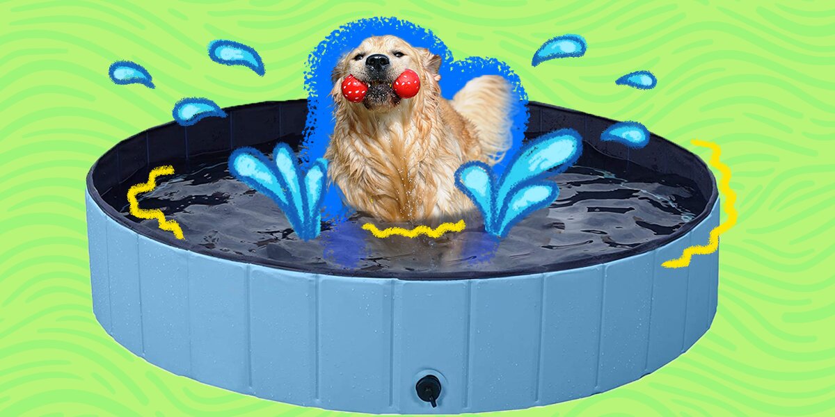 Dog Pools: 5 Best Pool Options That Will Help Your Pup Beat The Summer ...