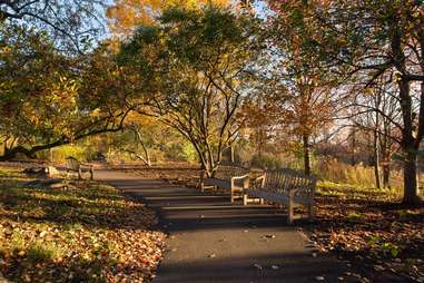 Chicago Botanic Garden