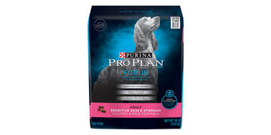 bag of dog food