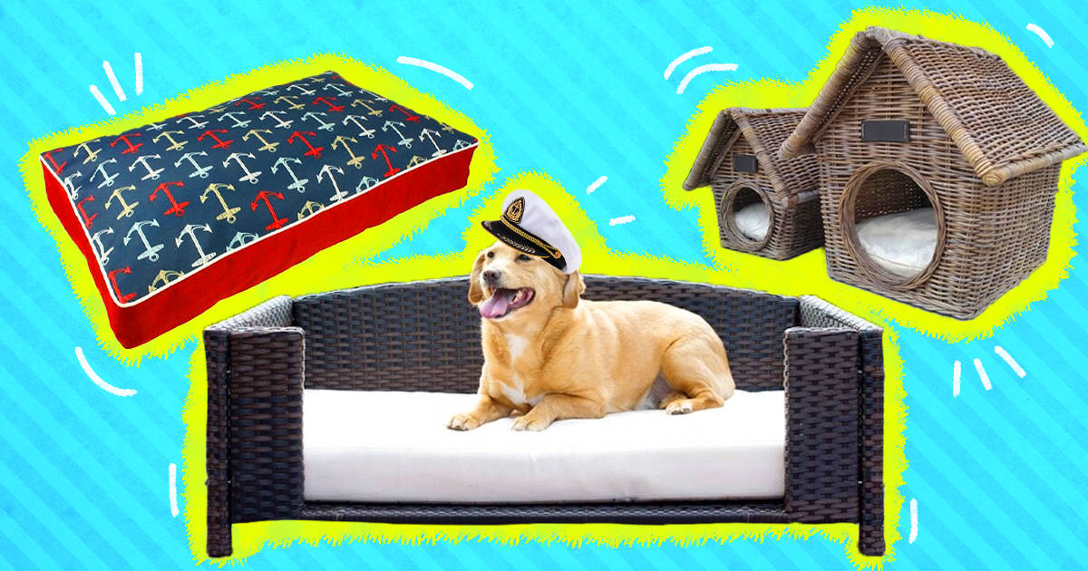 Preppy Dog Accessories You Need To Have - DodoWell - The Dodo