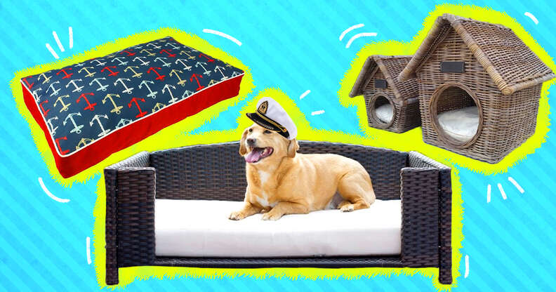 Tiny best sale dog accessories