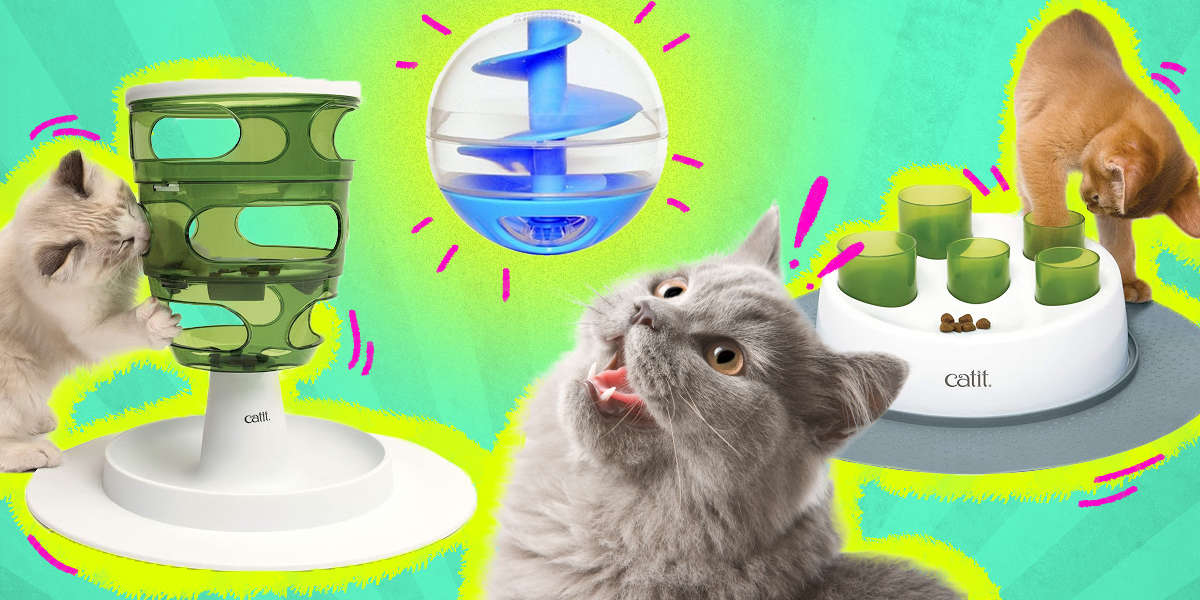 Interactive Cat Feeder Toys Keeps Your Cat Stimulated DodoWell The Dodo