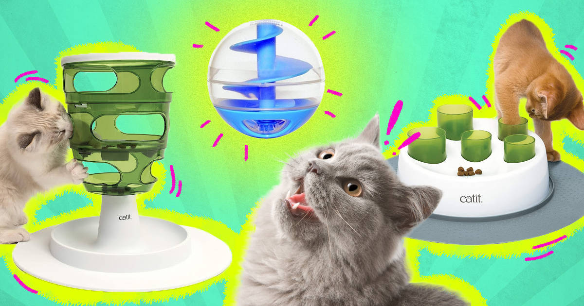 A new and innovative cat interactive feeder