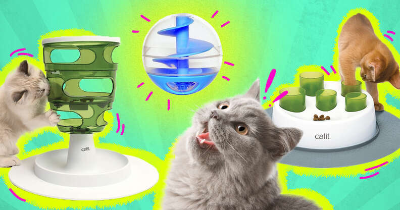 Interactive Cat Feeder Toys Keeps Your Cat Stimulated - DodoWell - The Dodo