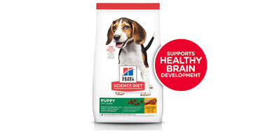 Hill's Science Diet Dry Dog Food