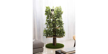 Cat Tree