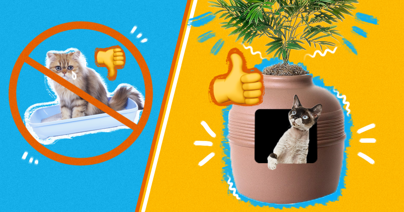 Covered Litter Boxes That Are Actually Cute DodoWell The Dodo