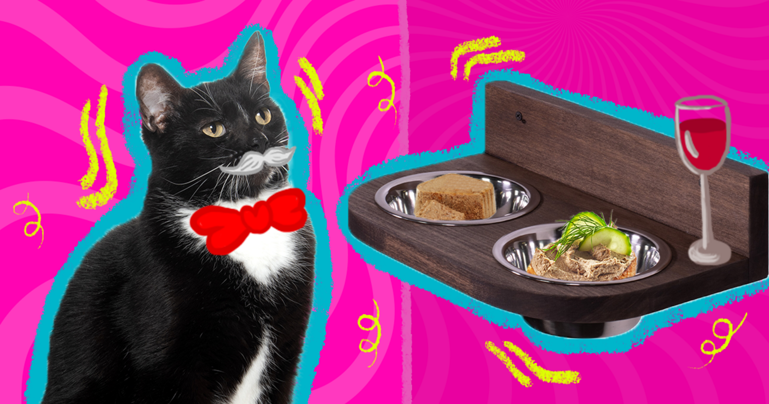 The Best Elevated Cat Feeders To Help Your Cat’s Digestion DodoWell