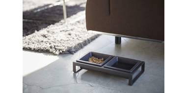elevated cat feeder