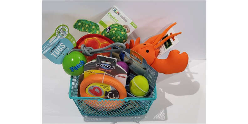 dog pool party toy basket