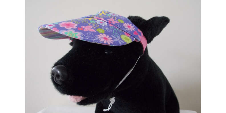 Dog Visor