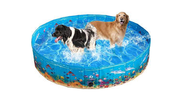 Foldable Dog Swimming Pool