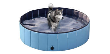 Foldable Plastic Kiddie Dog Pool