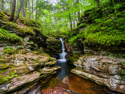 Ricketts Glen State Park