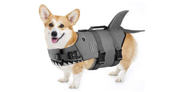 dog buoyancy vest