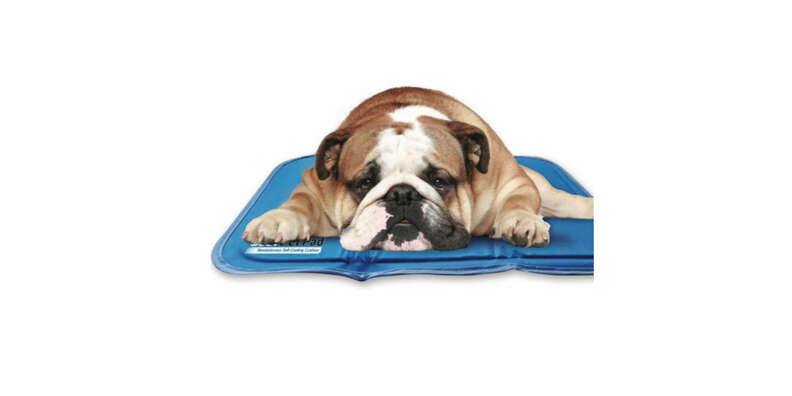 muttropolis pressure activated pet cooling pad