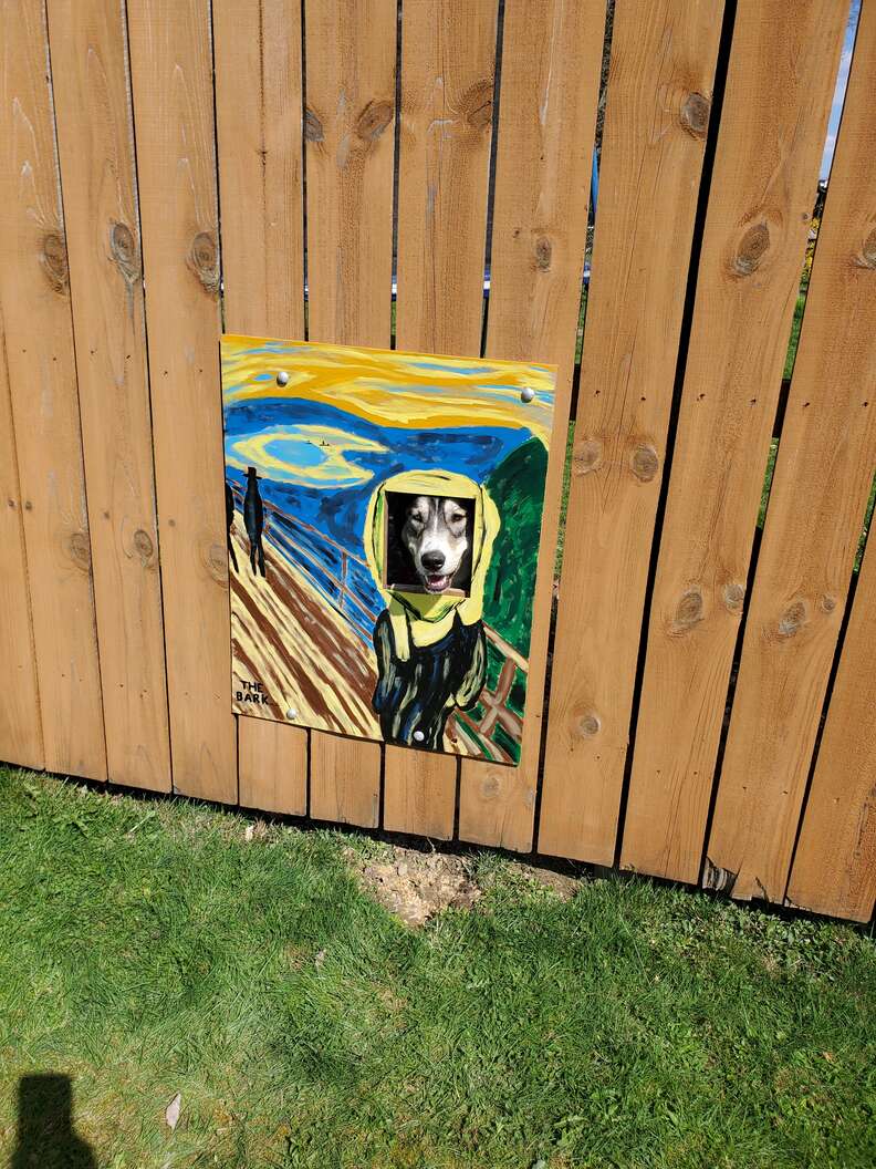 dog fence window