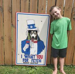 dog fence window