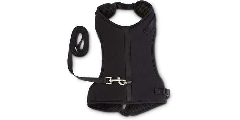 Cat Harness And Leashes For Exploring The World DodoWell The Dodo