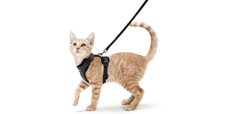 Good2go cat harness instructions best sale