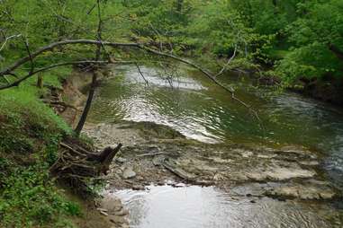 Friends of Seneca Creek State Park