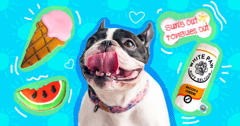 Treats to top keep dogs cool