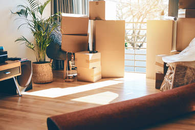 Pack cardboard boxes during the move