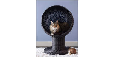 Elevated Round Modern Cat Bed