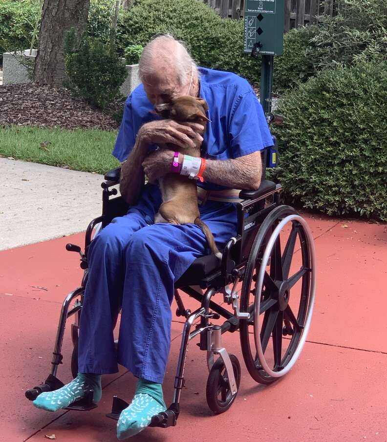 Dog reunites with owner after saving his life