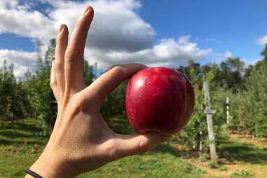 Highland Orchards Farm