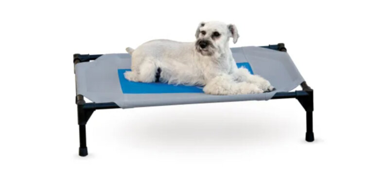 cooling pet cot