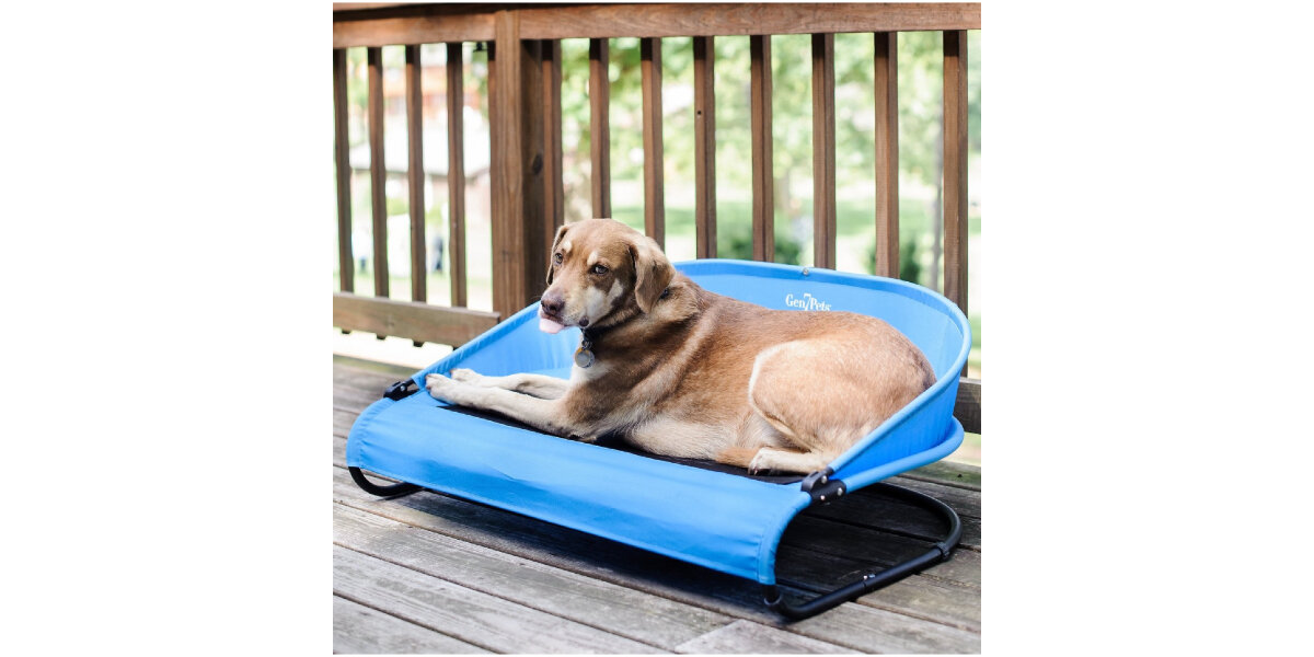 pawslife pet cot