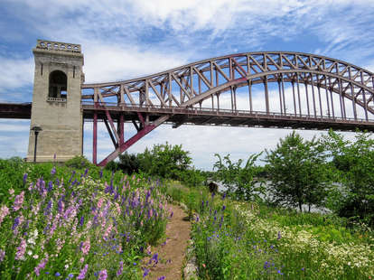 Hell Gate Wildflower Meadow & Picnic Area on Randall's Island