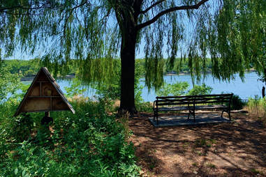 Hell Gate Wildflower Meadow & Picnic Area on Randall's Island
